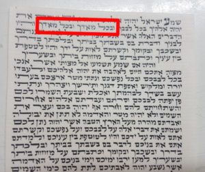 Non-kosher scroll